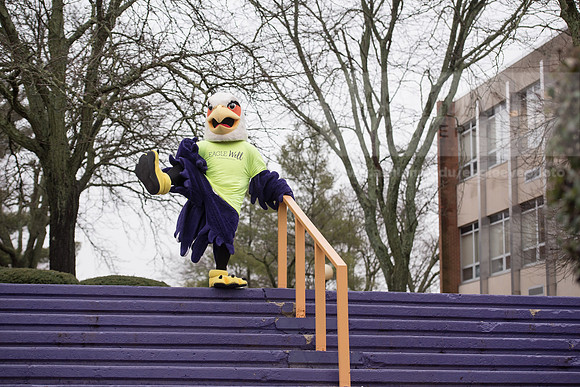 Tuffy - Campus Wellness Program