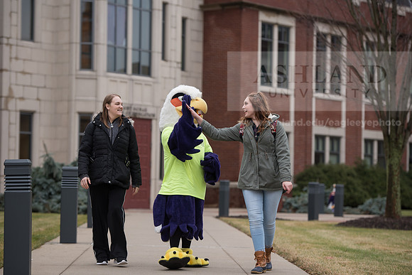 Tuffy - Campus Wellness Program