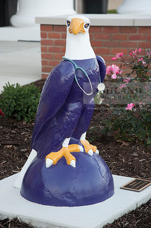 Schar College of Nursing