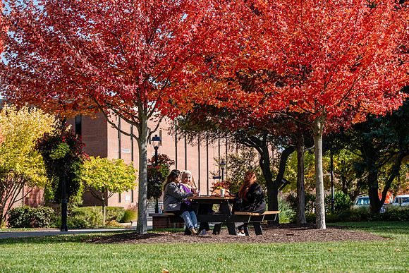 FallCampusLife1024AWB_5803