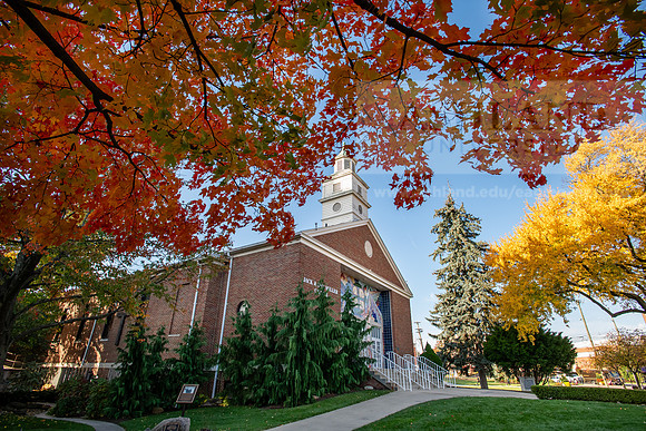 FallCampus1024AWB_5118