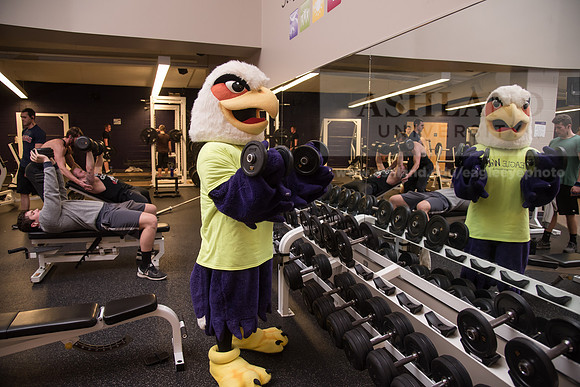 Tuffy - Campus Wellness Program