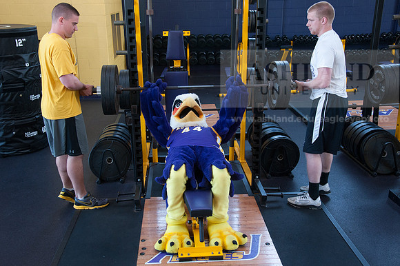 Tuffy Preparing for Marathon