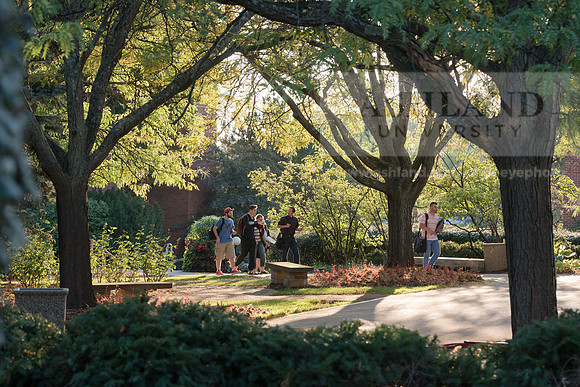 FallCampus1016ALW_4301