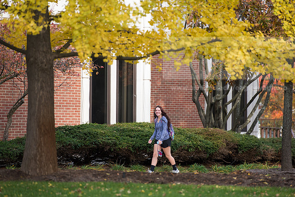 FallCampus1116ALW_3432