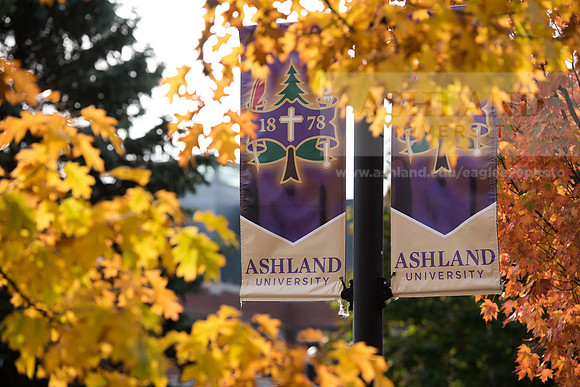 FallCampus1116ALW_3500