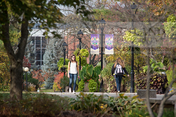 FallCampus1116ALW_3661