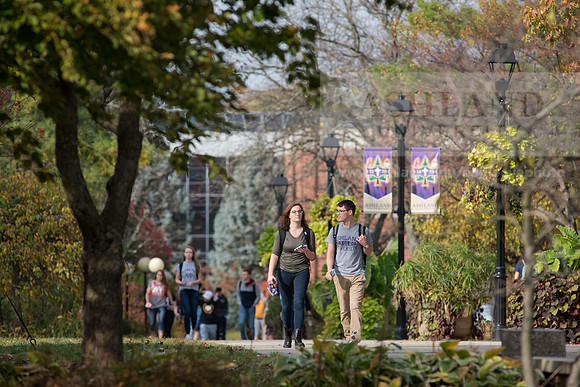 FallCampus1116ALW_3764