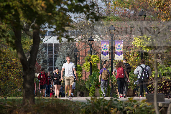 FallCampus1116ALW_3842