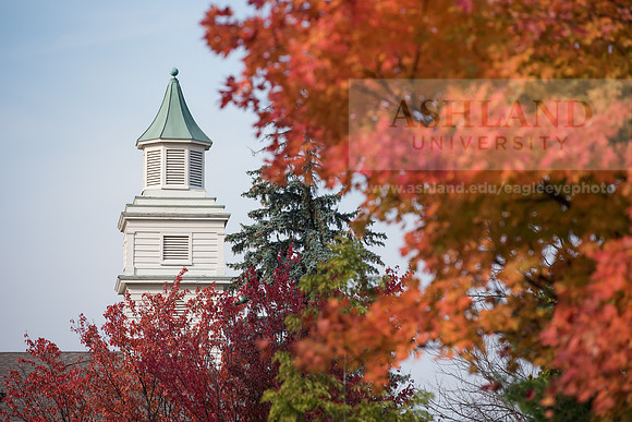 FallCampus1116ALW_4049