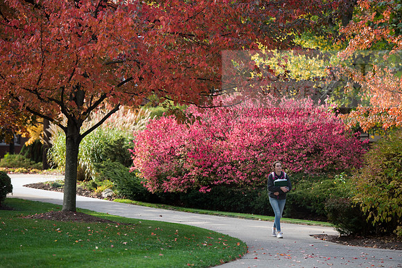 FallCampus1116ALW_4093