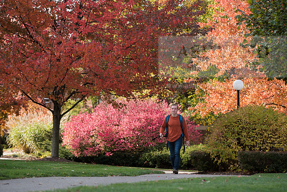 FallCampus1116ALW_4228