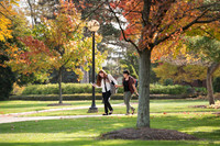 FallCampus1116ALW_4255