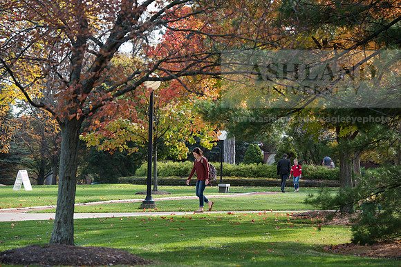 FallCampus1116ALW_4385