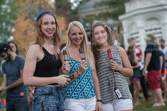 Food Truck Festival