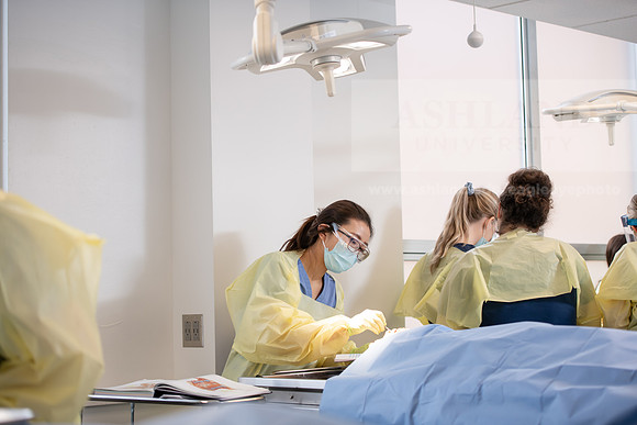 PAProgramCadaverLab1221ALW_4200
