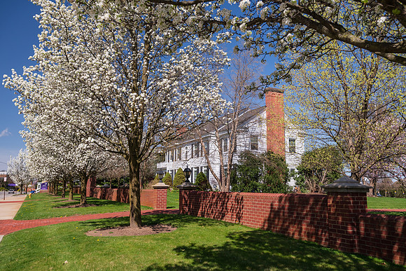 SpringCampus0421ALW_5787