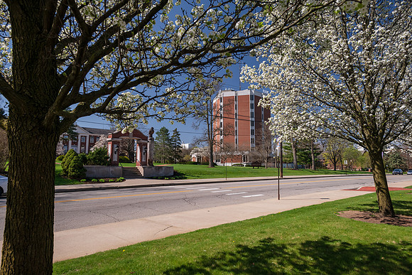SpringCampus0421ALW_5703