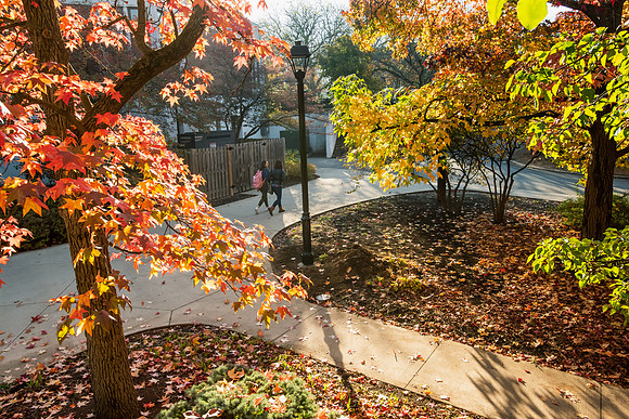 FallCampus1121ALW_3159