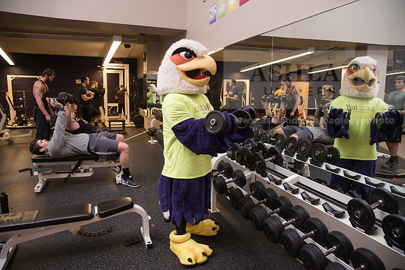 Tuffy - Campus Wellness Program