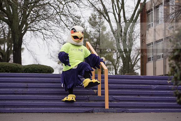 Tuffy - Campus Wellness Program