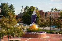 Old Abe - Rec Center Eagle