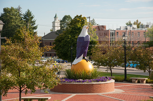 Old Abe - Rec Center Eagle