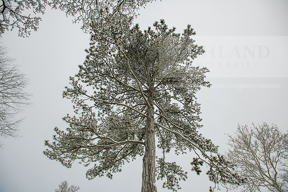 WinterCampusLife0123ALW_3166