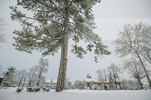 WinterCampusLife0123ALW_3161