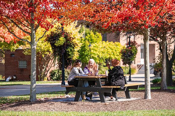 FallCampusLife1024AWB_5900