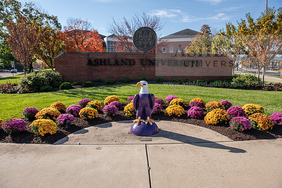 FallCampusLife1024AWB_5671