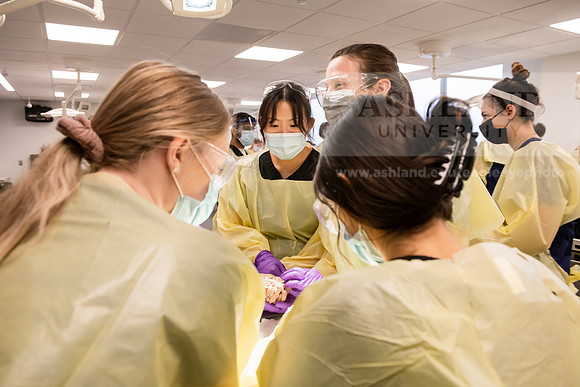 PAProgramCadaverLab1221ALW_3632