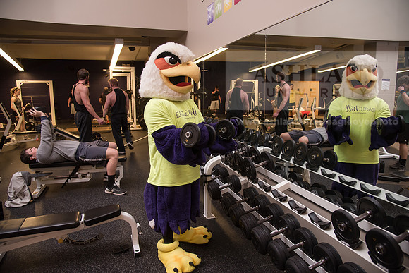 Tuffy - Campus Wellness Program
