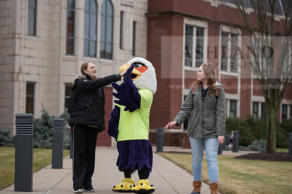 Tuffy - Campus Wellness Program