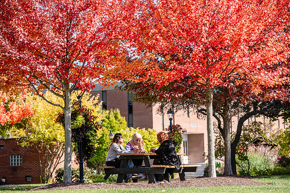 FallCampusLife1024AWB_5923