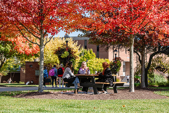FallCampusLife1024AWB_5837