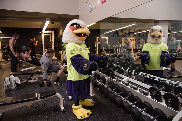 Tuffy - Campus Wellness Program