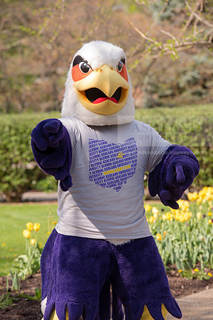 Tuffy0416ALW_1122