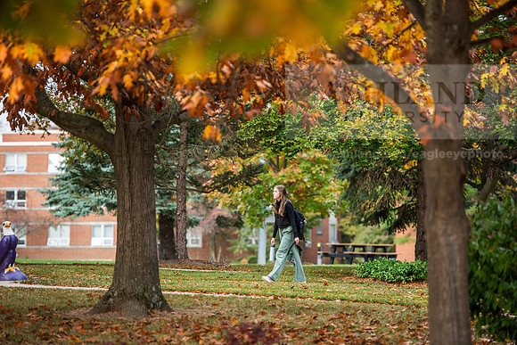 FallCampusLife1024AWB_8879