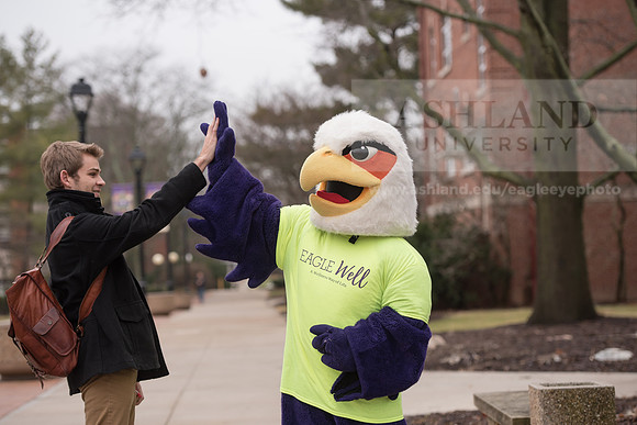 Tuffy - Campus Wellness Program