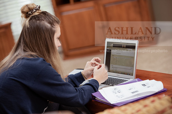 OnlineEducation0420ALW_1024