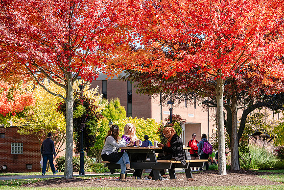 FallCampusLife1024AWB_5868