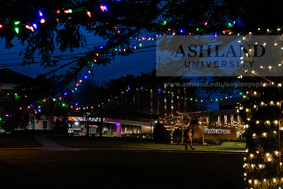 ChristmasDecorations1224AWB_5426