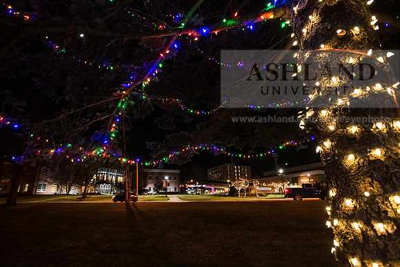 ChristmasDecorations1224AWB_5217