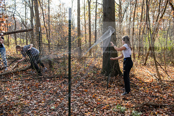 DeerExclosureBIOProject1024AWB_7570