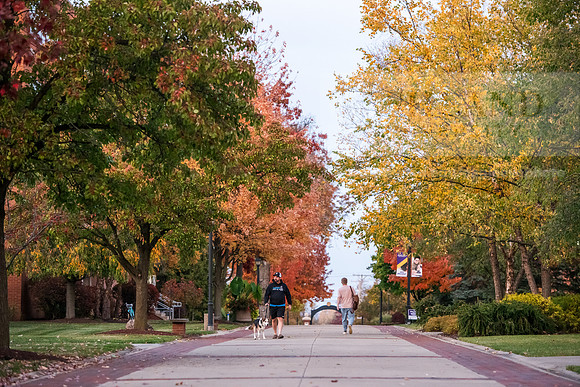 FallCampusLife1024AWB_7846