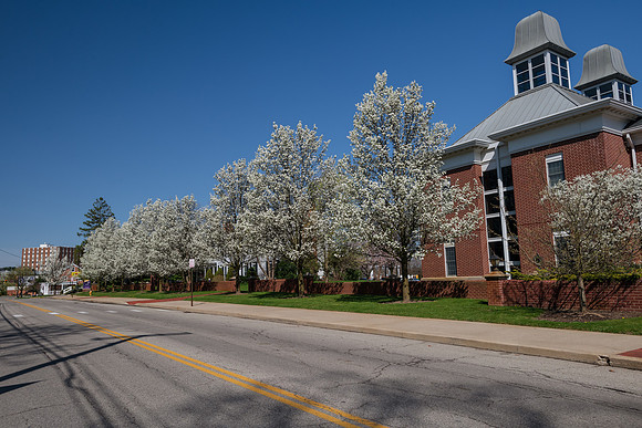SpringCampus0421ALW_5669