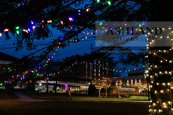 ChristmasDecorations1224AWB_5421