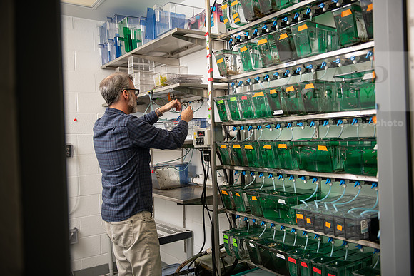 PosnerMasonZebraFish0922ALW_5475