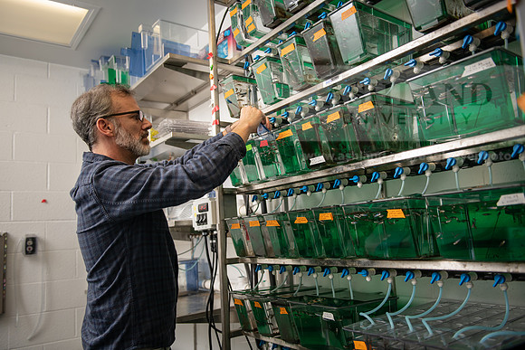 PosnerMasonZebraFish0922ALW_5464